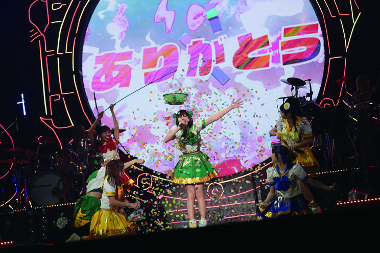 <コスモツアー 2019 in 日本武道館>より