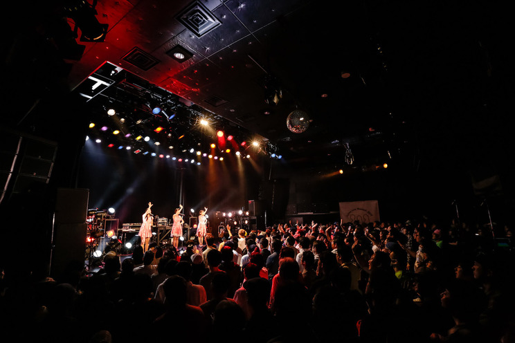 <kolme Live Museum 2019 -Hello kolme- Final>|渋谷 WWW X(2019年3月30日)