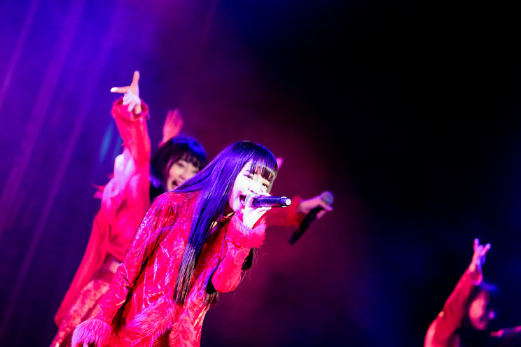 monogatari<GIG TAKAHASHI tour 2019>より|2019年6月2日(日)新宿BLAZE