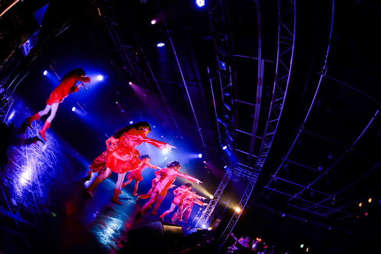 monogatari<GIG TAKAHASHI tour 2019>より|2019年6月2日(日)新宿BLAZE