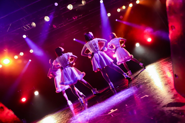 なんきんペッパー<GIG TAKAHASHI tour 2019>より|2019年6月2日(日)新宿BLAZE