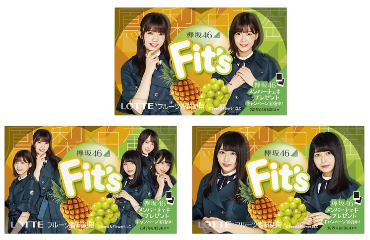 『Fit’s 欅坂46ガム<鳳梨×白葡萄>』