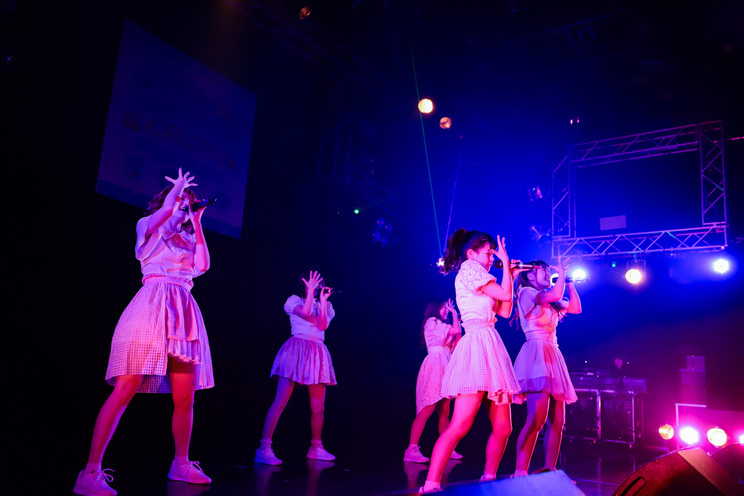 妄想キャリブレーション <TERASHIMA KAWAII FESTIVAL vol.1>(新宿ReNY/2018年12月21日)